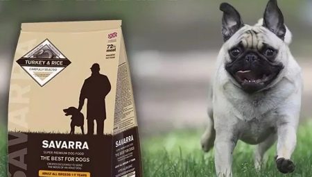 Особенности кормов для собак SAVARRA