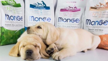 Особенности кормов для собак средних пород Monge