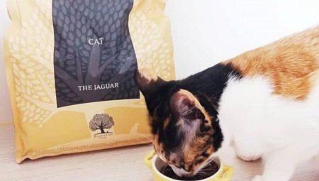 Особенности кормов Jaguar для кошек и котов