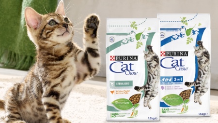 Особенности кормов Purina Cat Chow для котят