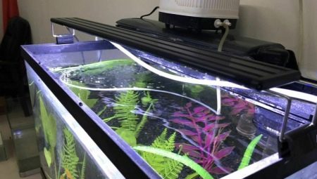 Освещение аквариума светодиодными прожекторами