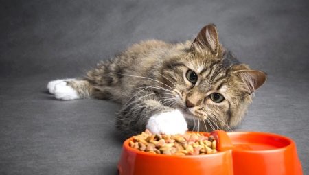 Purina Cat Chow для стерилизованных кошек и кастрированных котов