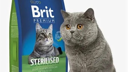 Разнообразие кормов для стерилизованных кошек Brit