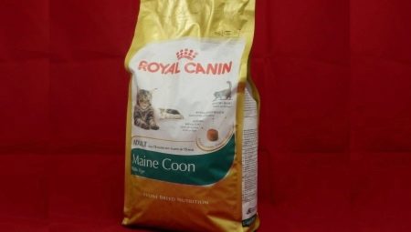ROYAL CANIN для кошек породы мейн-кун
