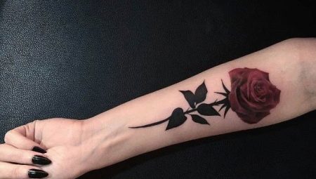 Розы На Ногах Фото