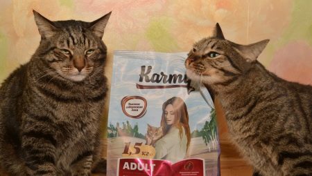 Все о кормах для кошек и котов Karmy