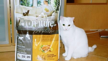 Все о кормах для кошек и котов Pronature