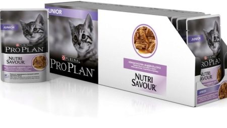 Все о кормах Purina Pro Plan для котят