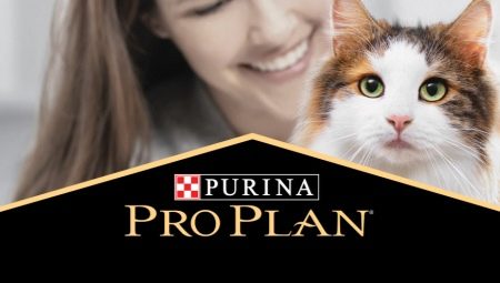 Все о сухих кормах для кошек и котов Purina Pro Plan