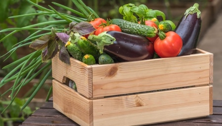 Ящики для овощей и фруктов