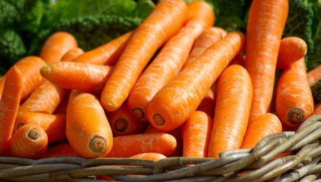 Хранение моркови на зиму