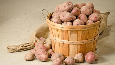 Как хранить картошку зимой?