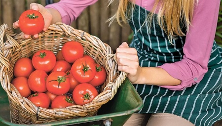 Как хранить помидоры в домашних условиях?