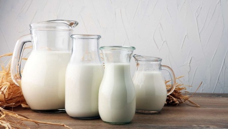 Сроки и условия хранения молока