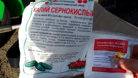 Подкормка томатов фосфором и калием