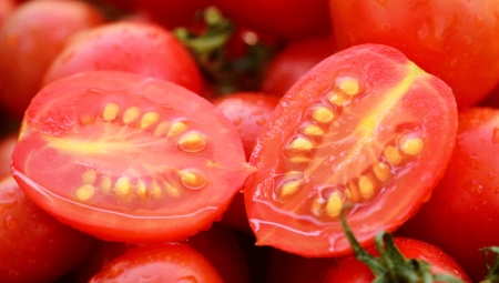 сколько лет хранятся семена томатов?