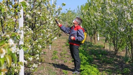 Чем обработать яблони весной?