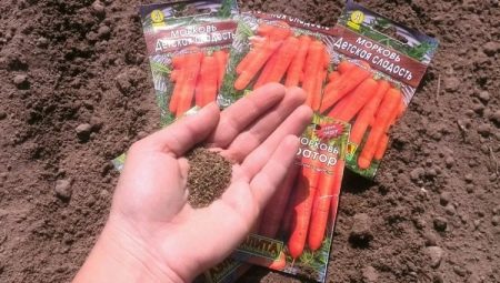 Как сажать морковь весной в открытый грунт?