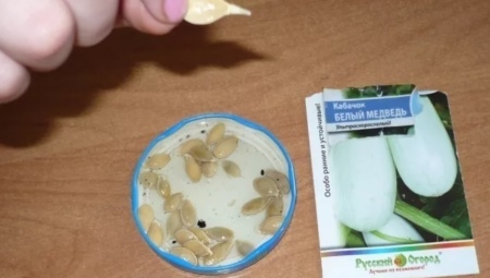 Секреты проращивания семян кабачков