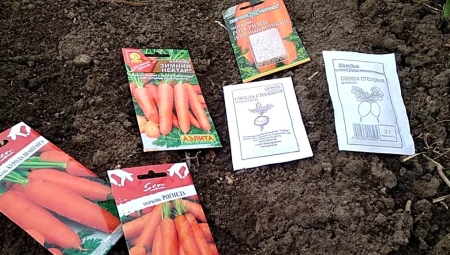 Можно ли посадить морковь в июне?