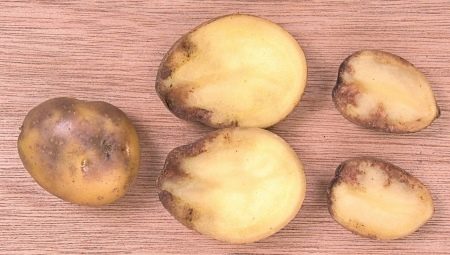 Почему темнеет картошка?
