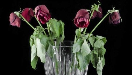 Как реанимировать увядшие розы в вазе?