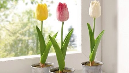 Особенности выращивания тюльпанов зимой дома в горшке