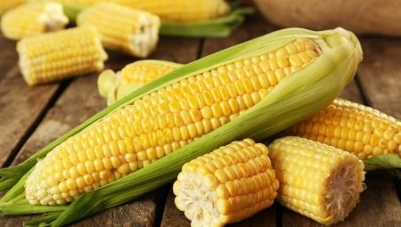 Все о кормовой кукурузе
