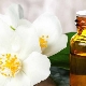 Эфирное масло жасмина – свойства и советы по применению