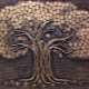 Денежное дерево из монет: виды и этапы изготовления