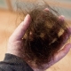 Волосы выпадают пучками: причины и решение проблемы