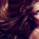 Биоревитализация волос: особенности процедуры