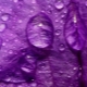 Что означает фиолетовый цвет в психологии?