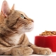 Классы кормов для кошек: отличия и нюансы выбора