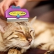 Фурминаторы для кошек: описание, виды, выбор и применение