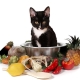 Как выбрать вегетарианские и веганские корма для кошек?