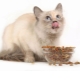 Сухой корм для стерилизованных кошек: свойства, производители, выбор и режим питания
