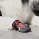 Обувь для собак: виды и рекомендации по выбору