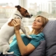 Породы собак для квартиры: как выбрать и содержать? 