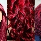Рубиновый цвет волос: оттенки, выбор краски, советы по уходу