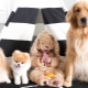 Самые милые собаки: общие черты, топ лучших пород, выбор и уход