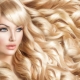 Золотистый блонд: кому идет цвет волос и как его получить?