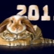 2011 – год какого животного и что он несет для рожденных в это время?