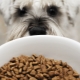 Гипоаллергенный корм для собак: особенности, виды и критерии выбора