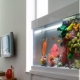 Искусственный аквариум: виды и применение 