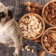 Какие можно, а какие нельзя давать орехи собакам?