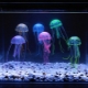 Медузы в аквариуме: какими бывают и как их содержать? 