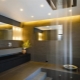 Потолочные светильники в ванную комнату: разновидности, бренды и выбор
