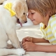 Домашние животные для детей: польза и вред, что выбрать?