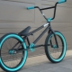 Велосипеды BMX: характеристика, разновидности, бренды, выбор